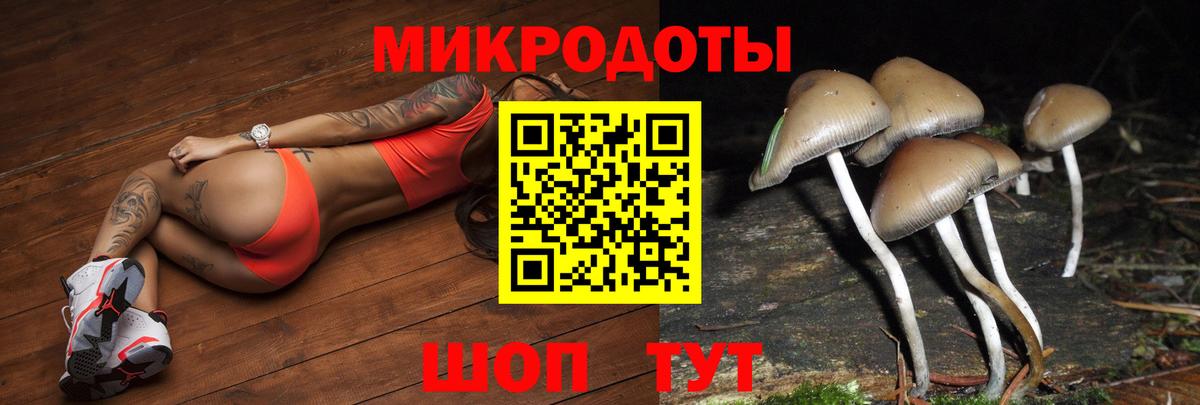 Унеча  продажа наркотиков  Галлюциногенные грибы Psilocybine cubensis  Вход с VPN  Псилоцибиновые грибы прущие грибы 